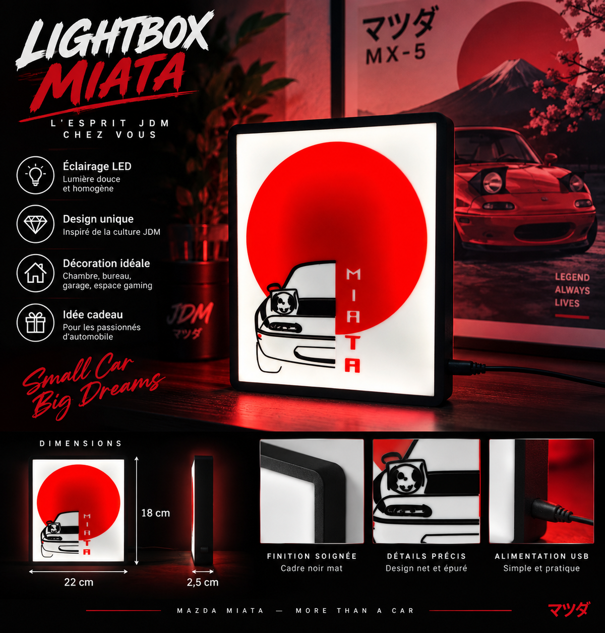 Lightbox Lumineuse à Led